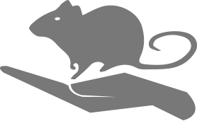HSBLAS rat